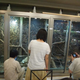 Image for article titled A Look Inside Japan's Reptile Cafes